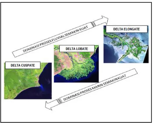 Gambar 1. Hubungan Proses Marin dan Fluvial pada Pengendapan Delta 