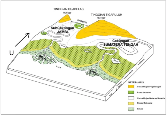 Gambar 13. Diagram blok paleogeografi  lingkungan pengendapan formasi Lakat dan Talangakar di daerah Pegunungan  Tigapuluh