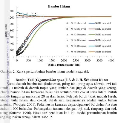 Gambar 2. Kurva pertumbuhan bambu hitam model kuadratik 