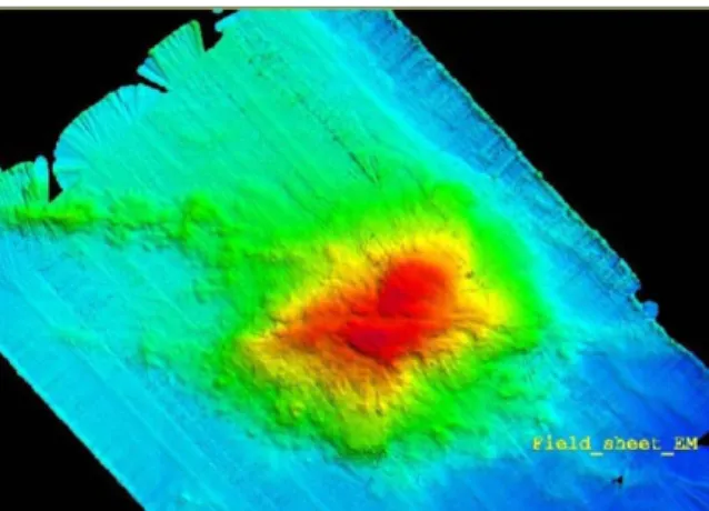 Gambar 3. Tampilan 2D gunung bawah laut (seamount) melalui Simrad EM 12D. 