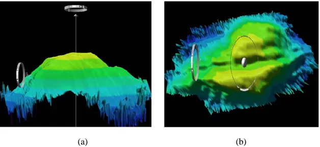 Gambar 5. Tampilan gunung bawah laut (seamount) menggunakan instrumen ELAC  Seabeam  1050D