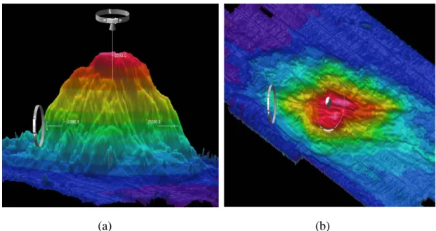 Gambar 6. Tampilan gunung bawah laut (seamount) menggunakan instrumen Simrad  EM 12D. (a) Tampak depan dan (b) Tampak atas