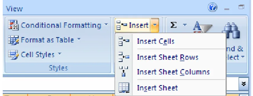 Gambar 1-9: Menyisip baris pada interface Excel 2007