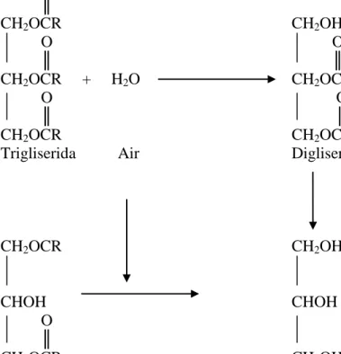 Gambar 2.3. Reaksi hidrolisis pada minyak goreng ( Ketaren, 2008 ) 