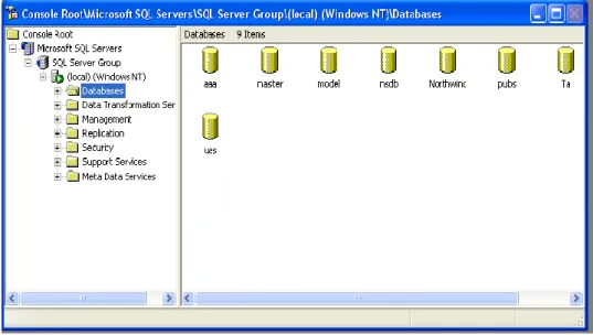 Gambar 2.4 Microsoft SQL Server 2000 