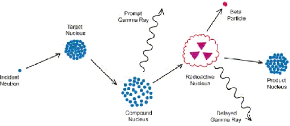 Gambar 5 Rangkaian peristiwa yang terjadi selama reaksi nuklir tipe paling sederhana  digunakan untuk analisis aktivasi (Win, 2004) 
