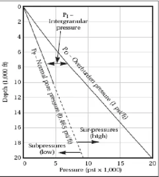 Gambar : Normal Pressure Profile 