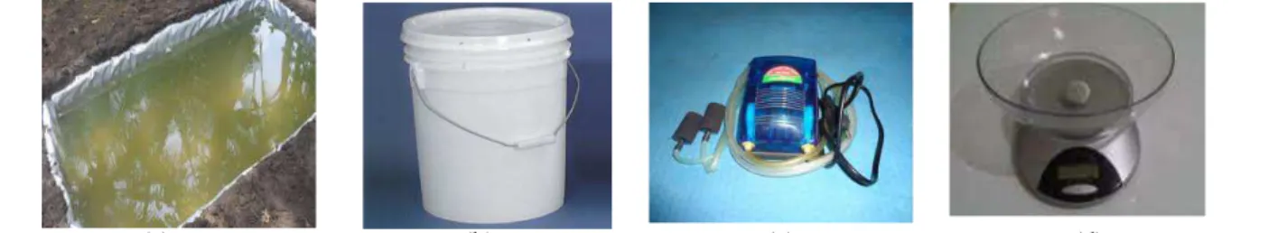 Gambar 1 : (a)Terpal Plastik  (b)Ember 25 Liter  (c)Aerator Aquarium (d)Timbangan Digital  2.3 Metode Penelitian 