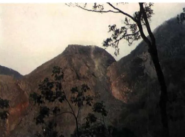 Gambar 8. Kondisi kubah Gunung Anak Ranakah yang  semakin tinggi dan muncul di lereng timur laut Gunung  Ranakah, 18 Januari 1988