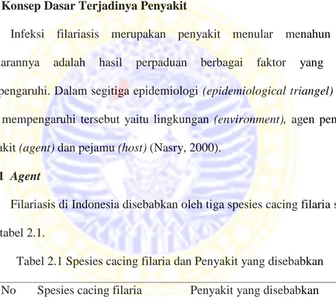 Tabel 2.1 Spesies cacing filaria dan Penyakit yang disebabkan No Spesies cacing filaria Penyakit yang disebabkan 1