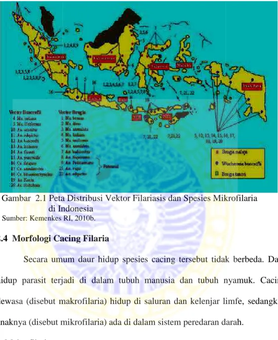 Gambar 2.1 Peta Distribusi Vektor Filariasis dan Spesies Mikrofilaria di Indonesia