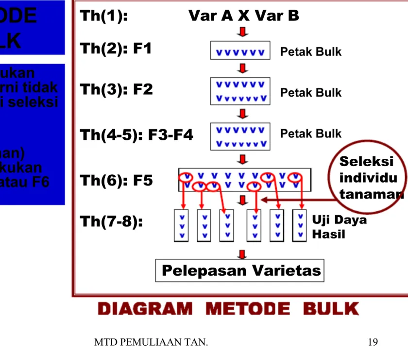 DIAGRAM  METODE  BULK