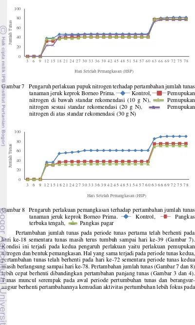 Gambar 7    Pengaruh perlakuan pupuk nitrogen terhadap pertambahan jumlah tunas 