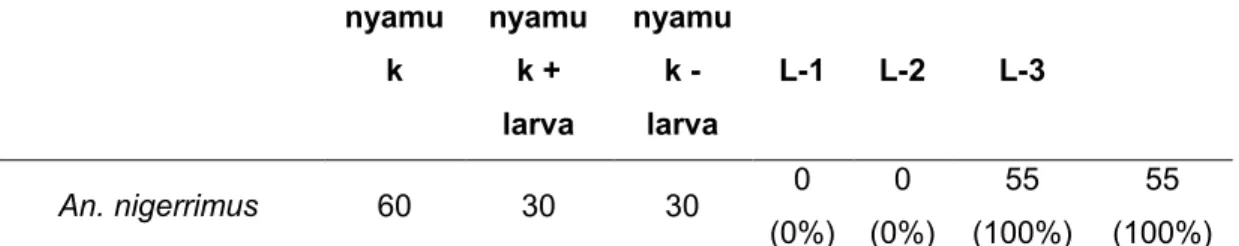 Gambar 4.8 Grafik L-3 pada hari ke-17 pada An.  nigerrimus  