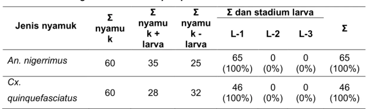 Tabel 4.2 Perkembangan Larva W. bancrofti Hari ke 3 Pasca Infeksi pada An. 