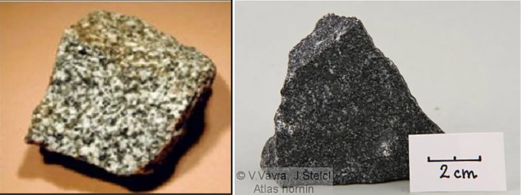 Gambar 3.1 Diorit dan Mikrodiorit 