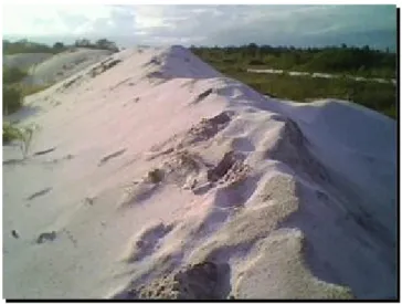 Gambar 2.2. Pasir Kuarsa
