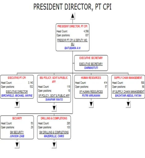 Gambar 3.2: Struktur Organisasi Pusat PT CPI 