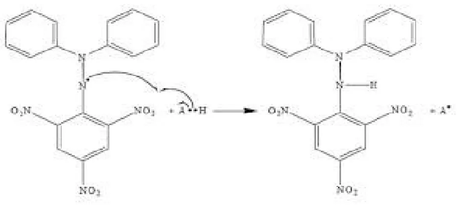 Gambar 1. Reaksi Antioksidan dengan DPPH 