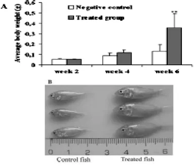 Gambar 1. Berat  rata-rata  benih  ikan gurame  yang diberi  (treated fish) dan  yang  tidak diberi perlakuan hormon pertumbuhan (control fish)