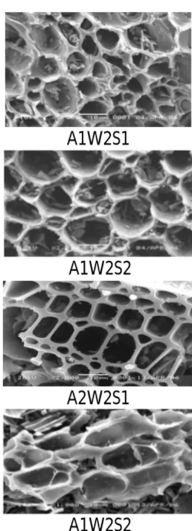 Gambar 2. Topografi permukaan arang aktif hasil analisis SEM  KADAR ABU 