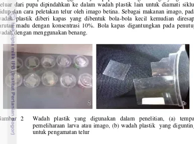 Gambar 2Wadah plastik yang digunakan dalam penelitian, (a) tempat