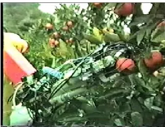 Gambar 1. Robot pemanen apel 