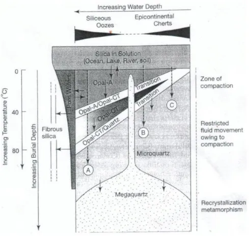 Diagram skematik yang menunjukkan fase umum silika dan kemungkinan transformasi diagenetiknya.Dimensi vertikal menerangkan suhu yang sebanding dengan kekuatan penguburan sedimen dan berbanding terbalik dengan porositas serta permeabilitas.Dimensi horizonta