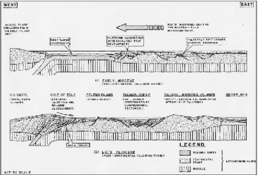 Gambar 4. Tektonik Banggai-Sula Mikrokontinen (Garrad., Surono., Supanjono,J.B.,  1988)