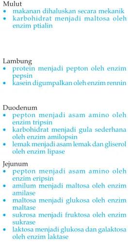 Gambar 2.15  Kerja enzim pencernaan