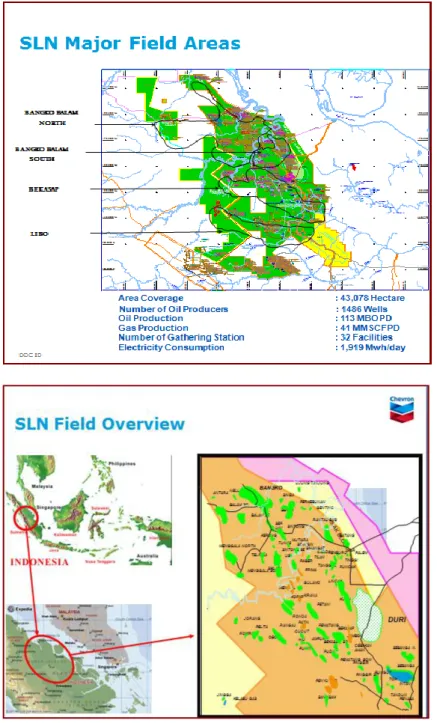 Gambar 2.3. Wilayah Operasi (Sumatera Ligth North) PT.CPI 