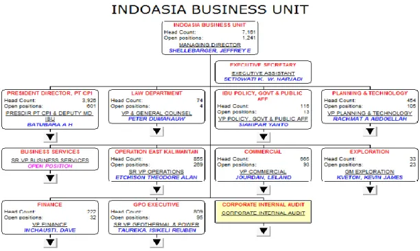Gambar 2.5. Struktur Organisasi Chevron IBU 