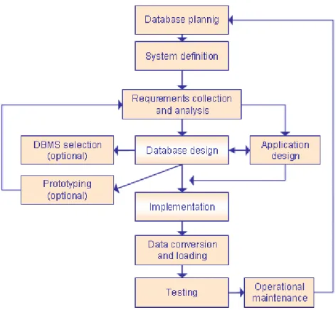Gambar 2.2 Database Life Cycle  