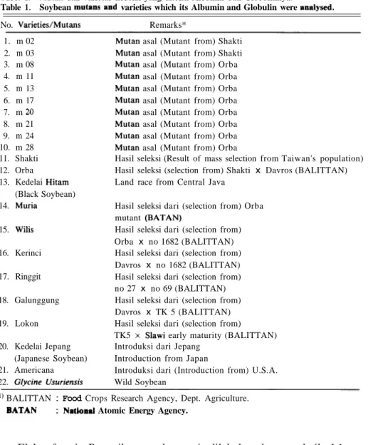 Tabel  1.  Mutan dan  varietas  kedelai  yang  diteliti  Albumin  dan Globulinnya. 