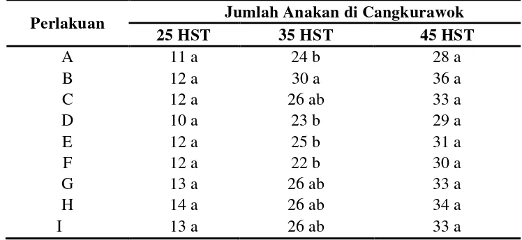 Tabel 6 Rataan Jumlah Anakan Padi Cangkurawok Pada Umur 25,35 dan  45 HST. 