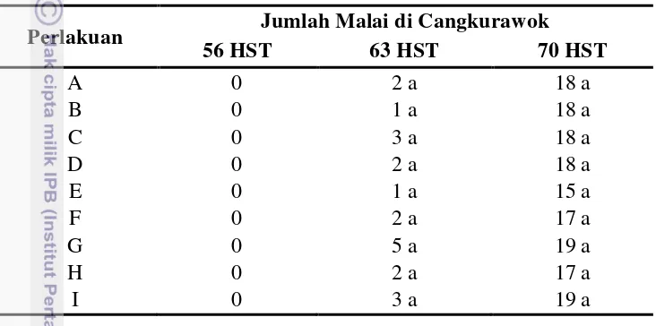Tabel 7 Rataan Jumlah Malai Per Rumpun Tanaman Padi pada 56,63 dan  70 HST. 