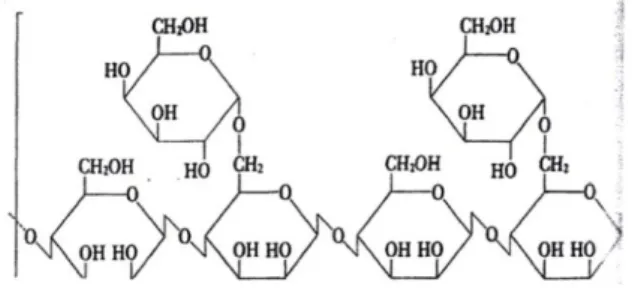 Gambar 6 -  Struktur guar gum (Zapsalis, 1986) 