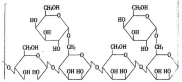 Gambar 6 -  Struktur guar gum (Zapsalis, 1986) 