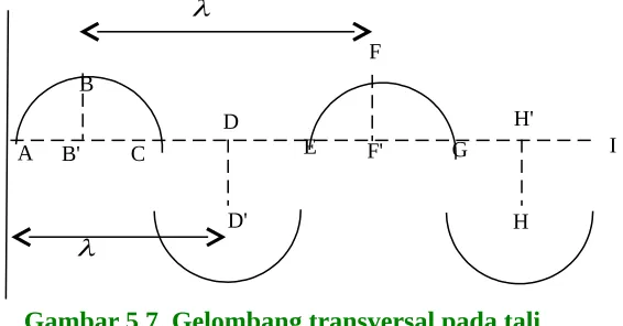 Gambar 5.7. Gelombang transversal pada tali