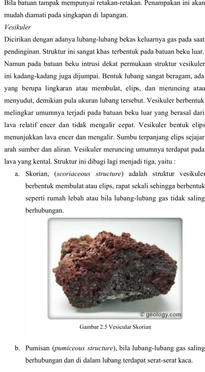 Gambar 2.5 Vesicular Skorian