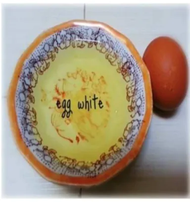 Gambar 2.6 Putih Telur   