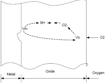 Gambar 2.5  mekanisme pertumbuhan oksida [3] 
