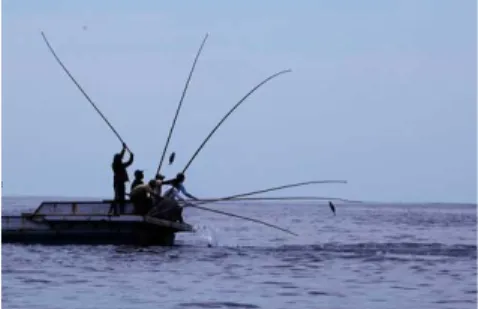 Gambar 9. Nelayan yang Mengoperasikan Pancing Tonda
