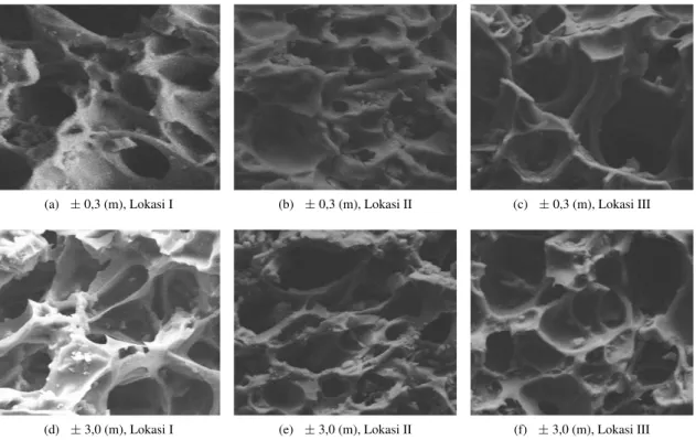 Gambar 9: Mikrografi SEM dengan perbesaran 1000 kali skala 50 µm material batu apung Lombok, untuk variasi kedalaman dan lokasi.