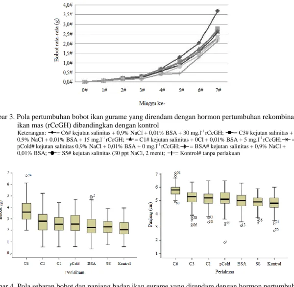 Gambar 3. Pola pertumbuhan bobot ikan gurame yang direndam dengan hormon pertumbuhan rekombinan  ikan mas (rCcGH) dibandingkan dengan kontrol 