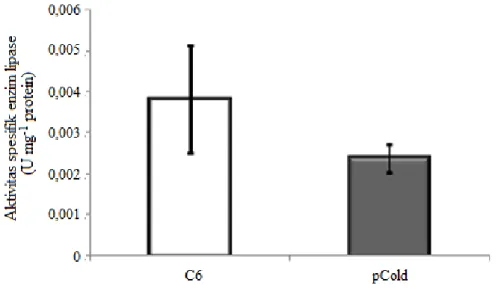 Gambar 5.  Aktivitas spesifik enzim lipase ikan gurame yang direndam denganhormon pertumbuhan  rekombinan ikan mas (rCcGH) dan kontrol pCold 