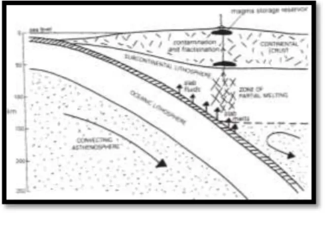 Gambar  10:  Tatanan  tektonik  Active  Continental  Margin   batuan  beku  menurut  Wilson, 1989