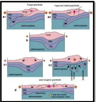 Gambar 3: Skematik model tektonik tipe batuan  granitoid (Winter, 2001) 