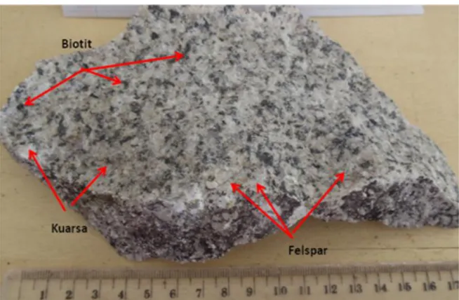 Gambar  3.  Batuan  granotoid  SKP08-04,  nampak  terlihat  kristal  mineral  felspar,  kuarsa,  &amp;  biotit  berukuran halus-sedang, leucocratic.