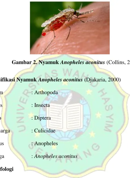Gambar 2. Nyamuk Anopheles aconitus (Collins, 2015) 